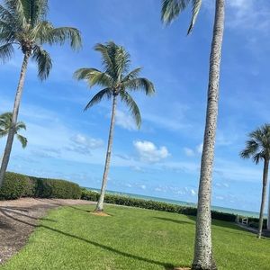 Meet your Posher, Riley